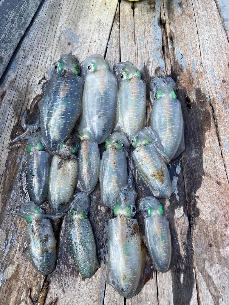 Trang Vu Homestay Cu Lao Cham