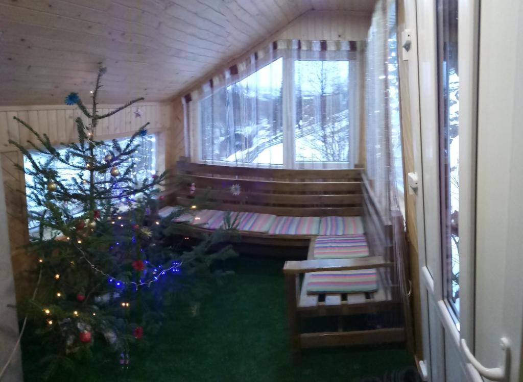 Sova photo 2