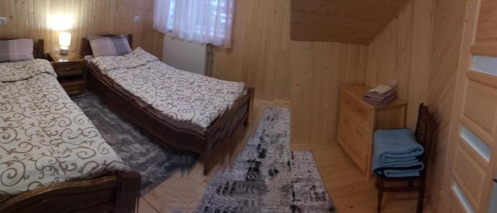 Sova photo 4