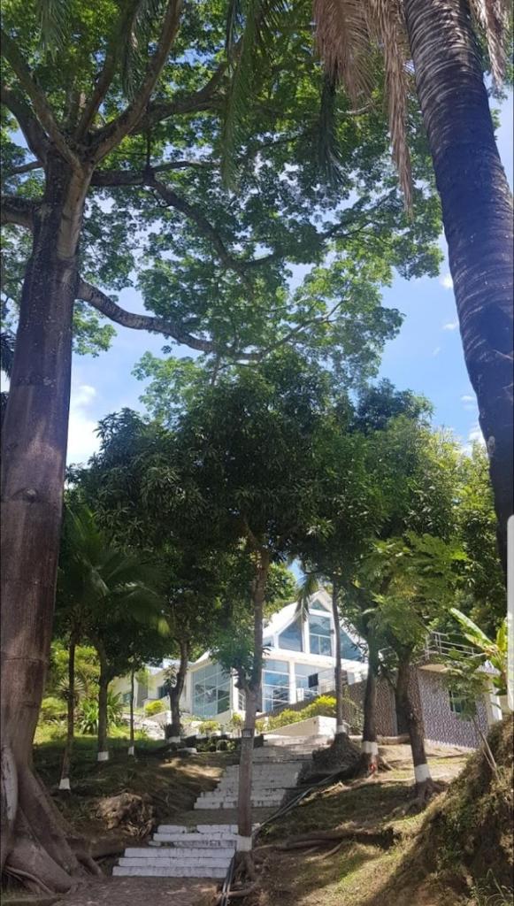 LA FLORESTA ISLA DEL SoL photo 2