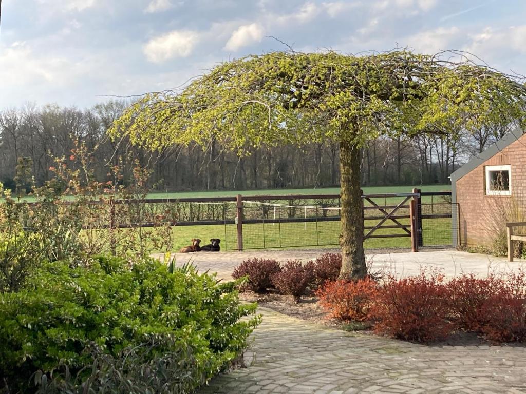 Vakantiehuisje Opdekamp photo 2
