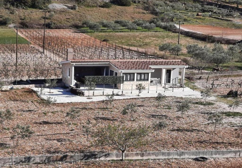 Holiday home Toni - modern