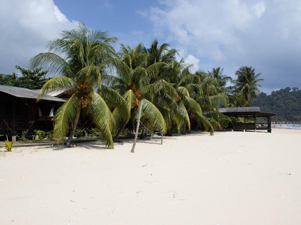 BUSHMAN TIOMAN photo 2