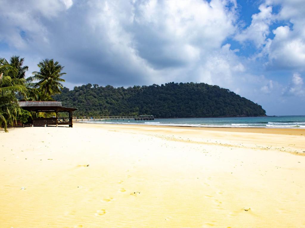 BUSHMAN TIOMAN photo 3