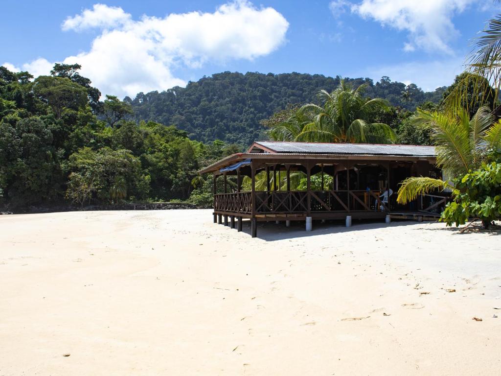 BUSHMAN TIOMAN photo 1