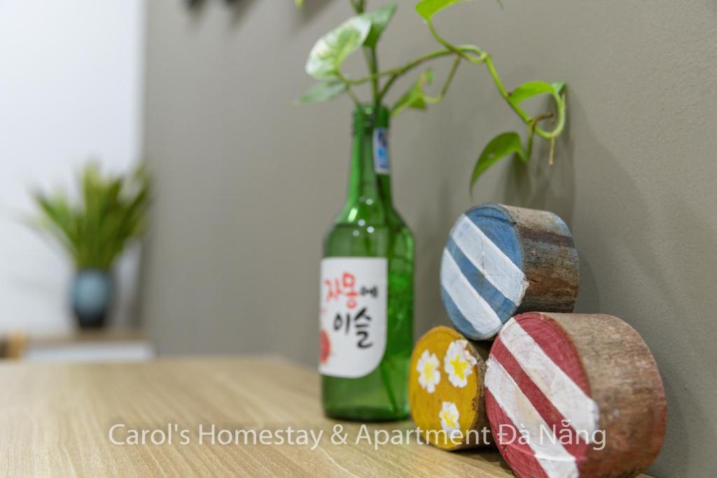 Carol Homestay & Apartment Da Nang