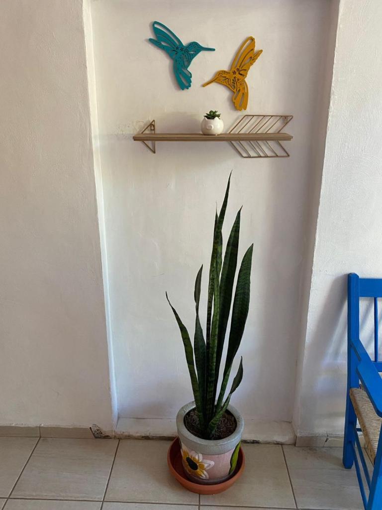 Hotel Casa Ceci Inn photo 2