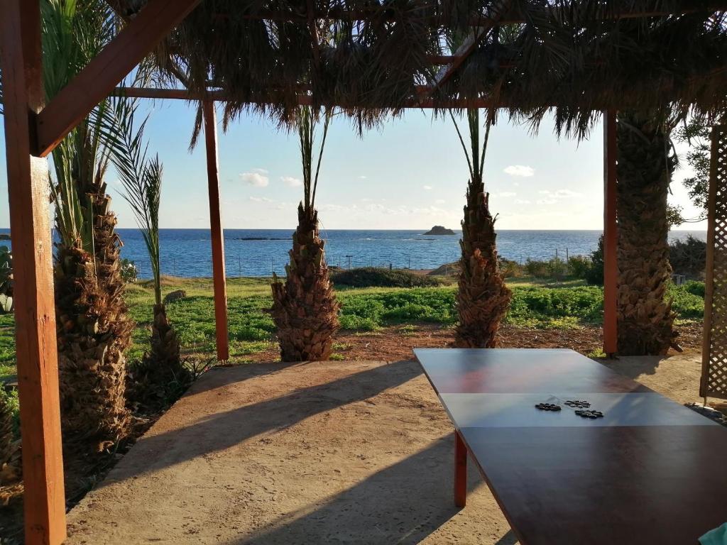Palmhouses photo 2
