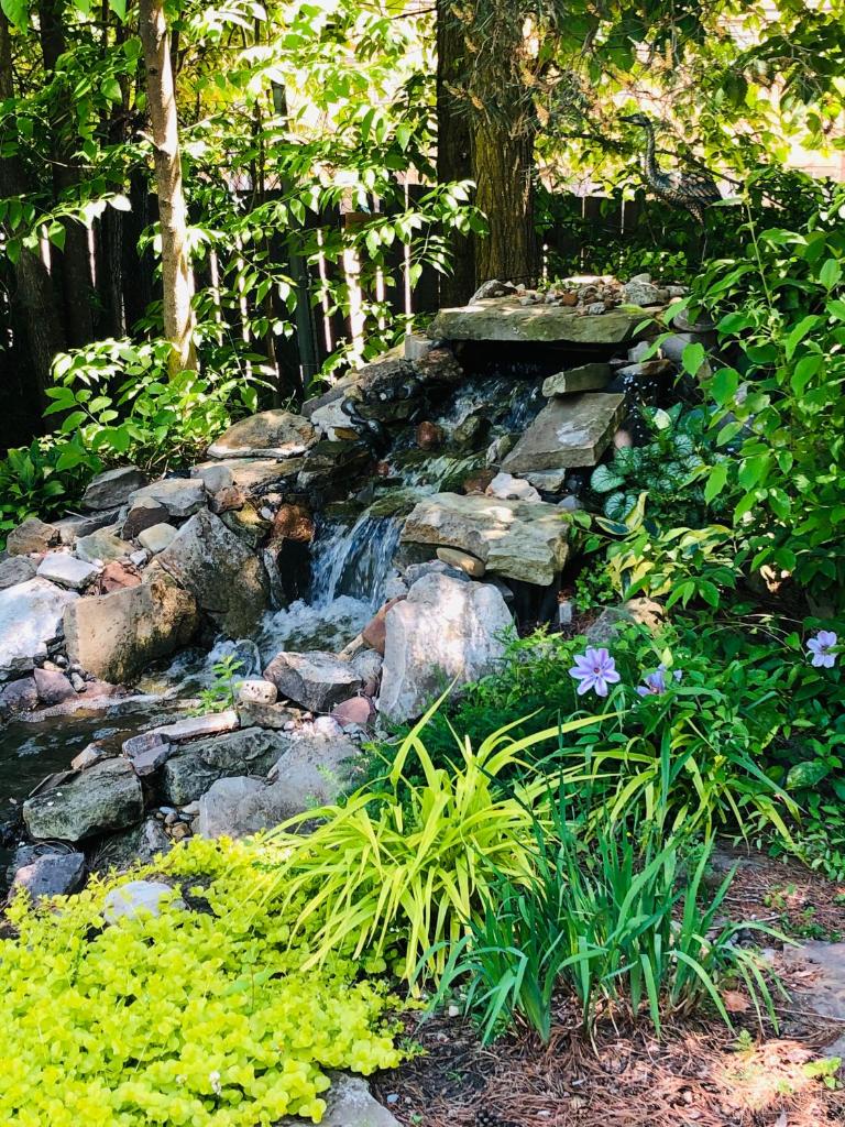 Riverside Gables Bed and Breakfast photo 4