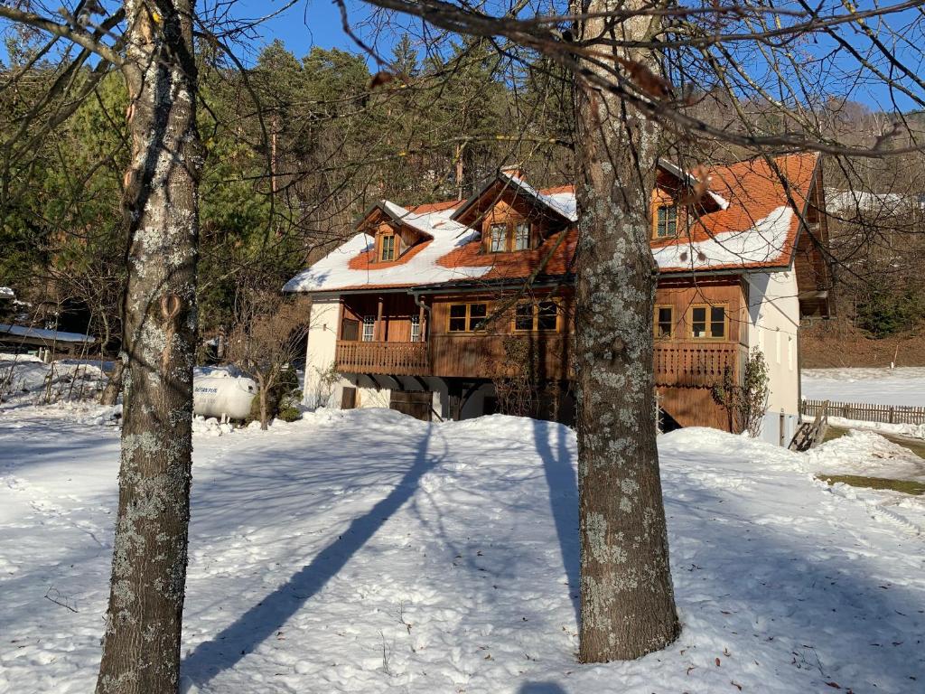 House Alpine Rose photo 4