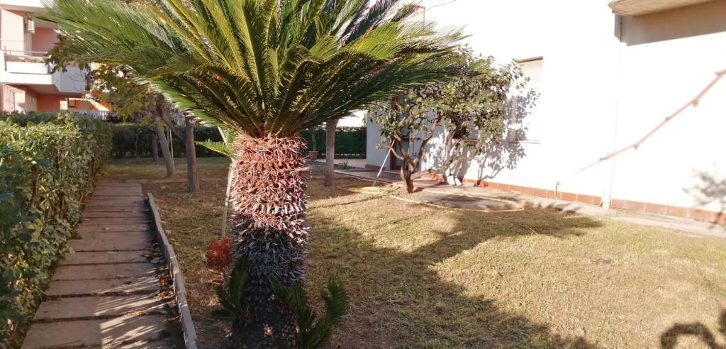 Casa di Checco photo 4