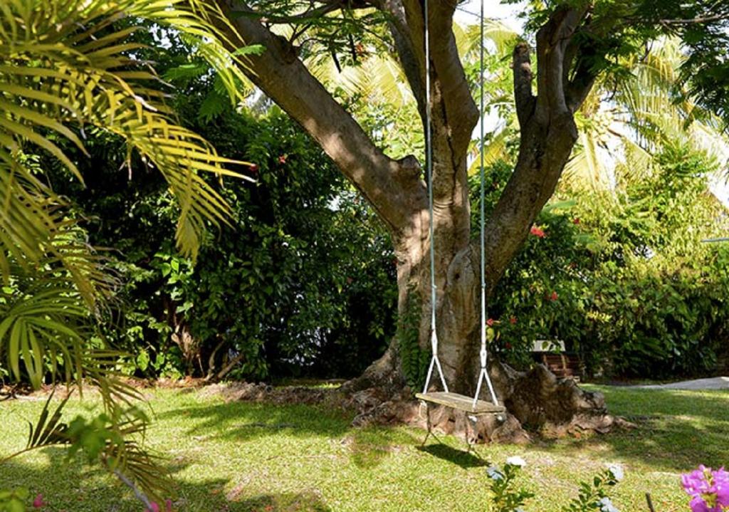 Le Jardin du Petit Macabou photo 3