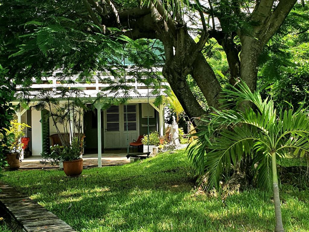 Le Jardin du Petit Macabou photo 4