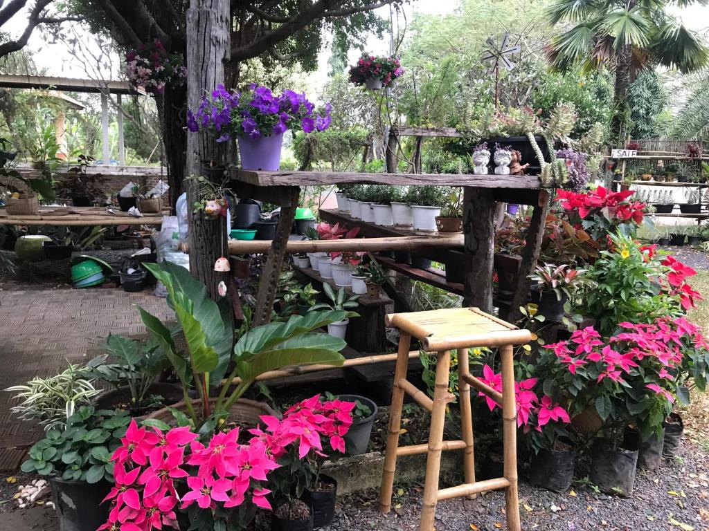 Ok Farm Resort photo 1