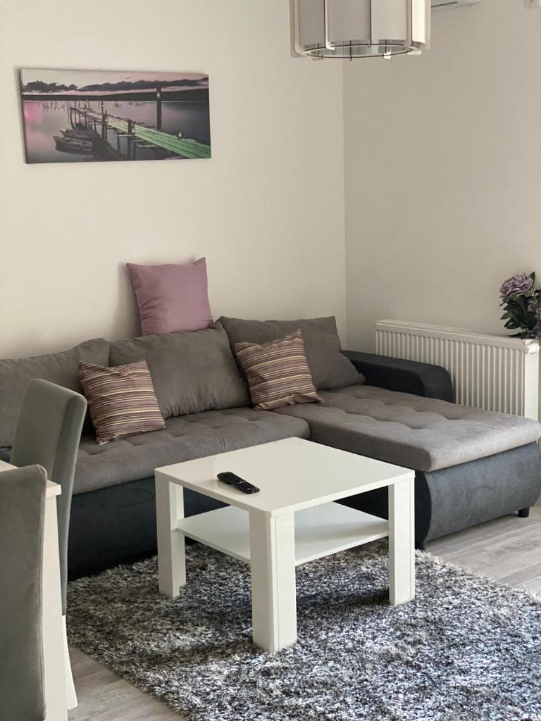 Apartmani Milić Banja Koviljača photo 1