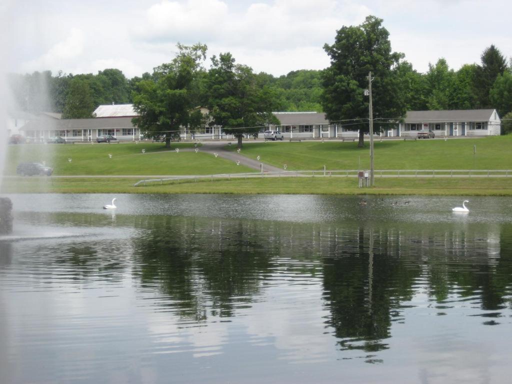 Fountain View Motel image