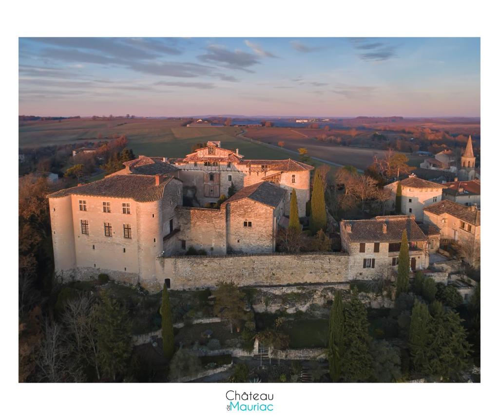 château de Mauriac photo 1