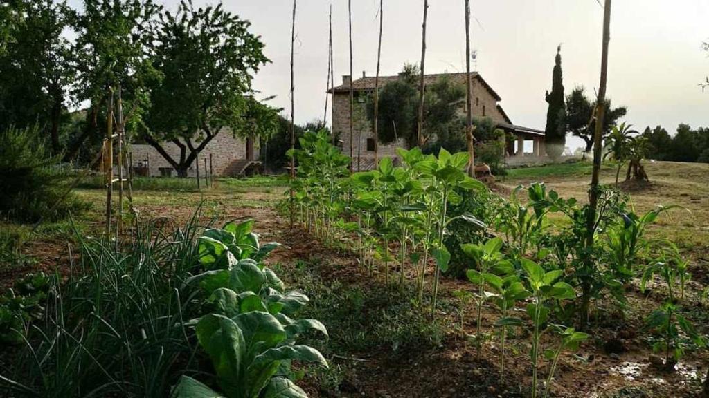 Casa rural restaurante Mas Del Rei photo 1