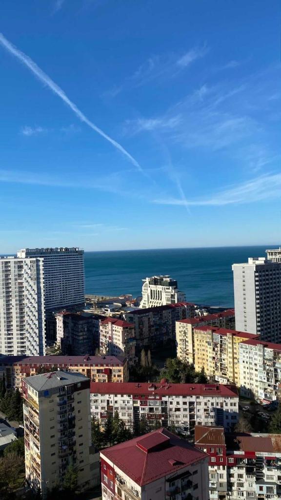 Pirosmani 16A, 27 floor photo 2