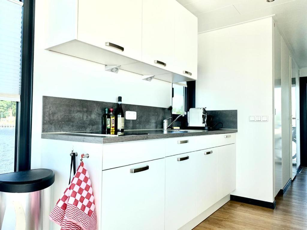 Houseboat Earebarre - Waterrijck Sneekermeer, Sneek - Offingawier photo 2