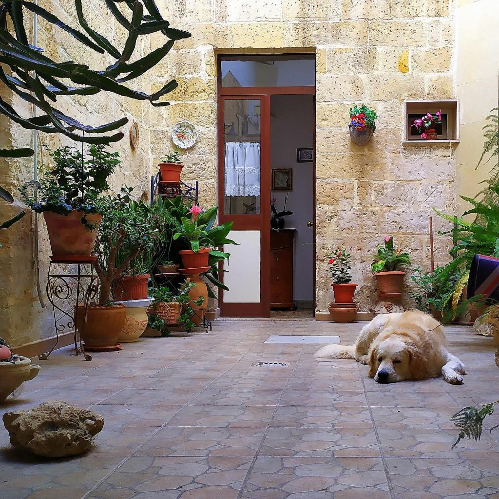 Casa MarGi 1968 photo 3