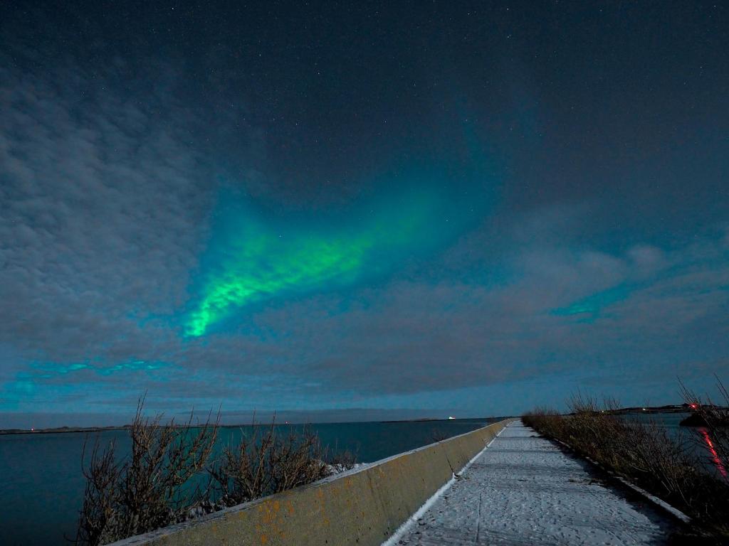 Orcas Bay Lofoten photo 3