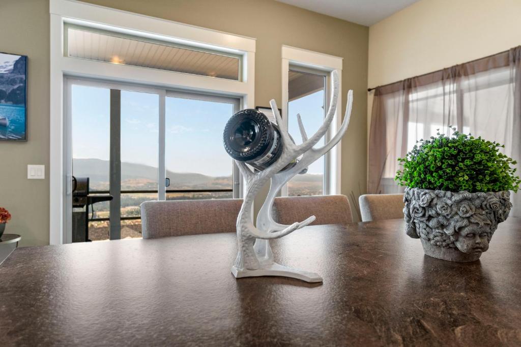Oh What A View! - Lower Suite photo 4