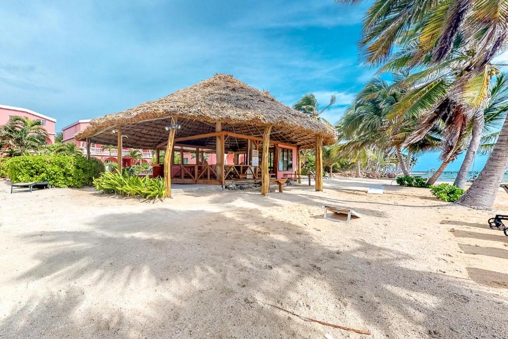 Saponaria 21-22 at Caribe Island Gold Standard Certified photo 1