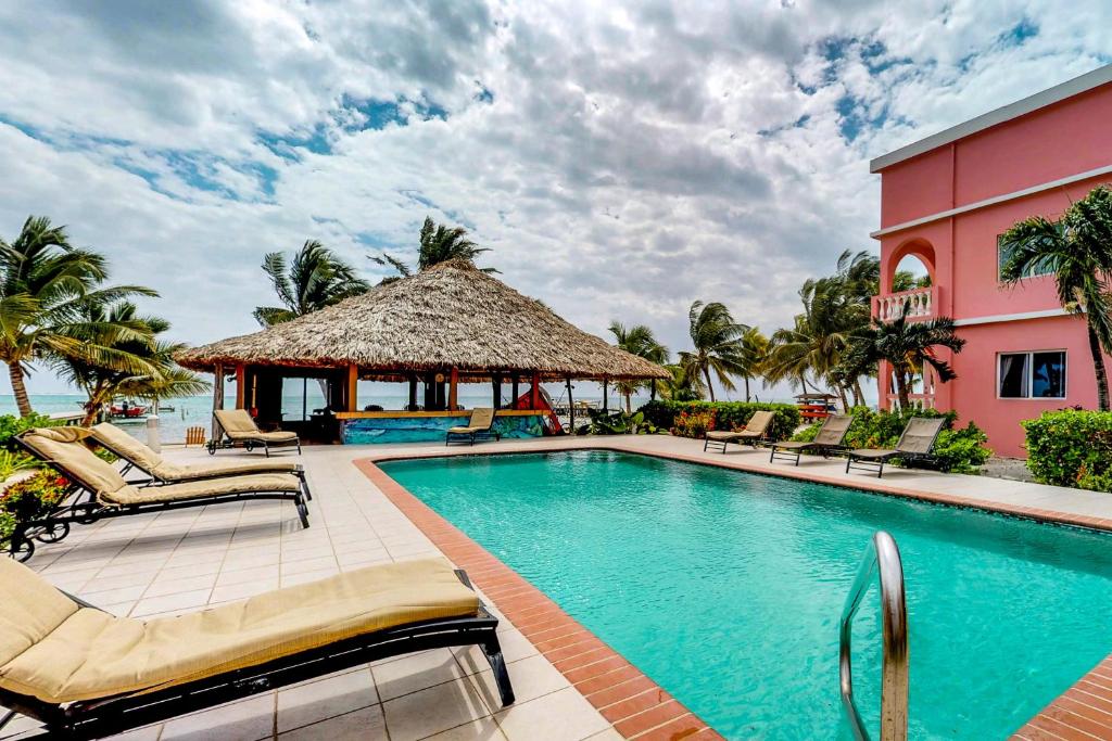 Saponaria 21-22 at Caribe Island Gold Standard Certified photo 2