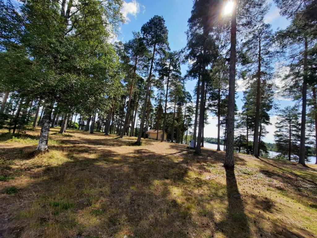 Furudals Vandrarhem och Sjöcamping photo 2
