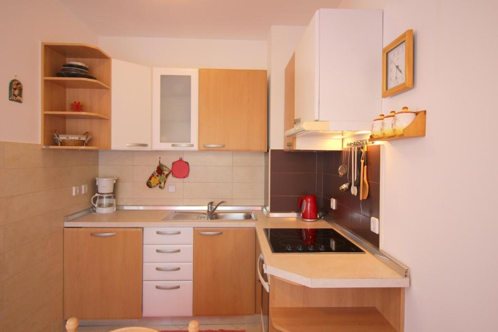 Apartment Vojka in city center photo 4