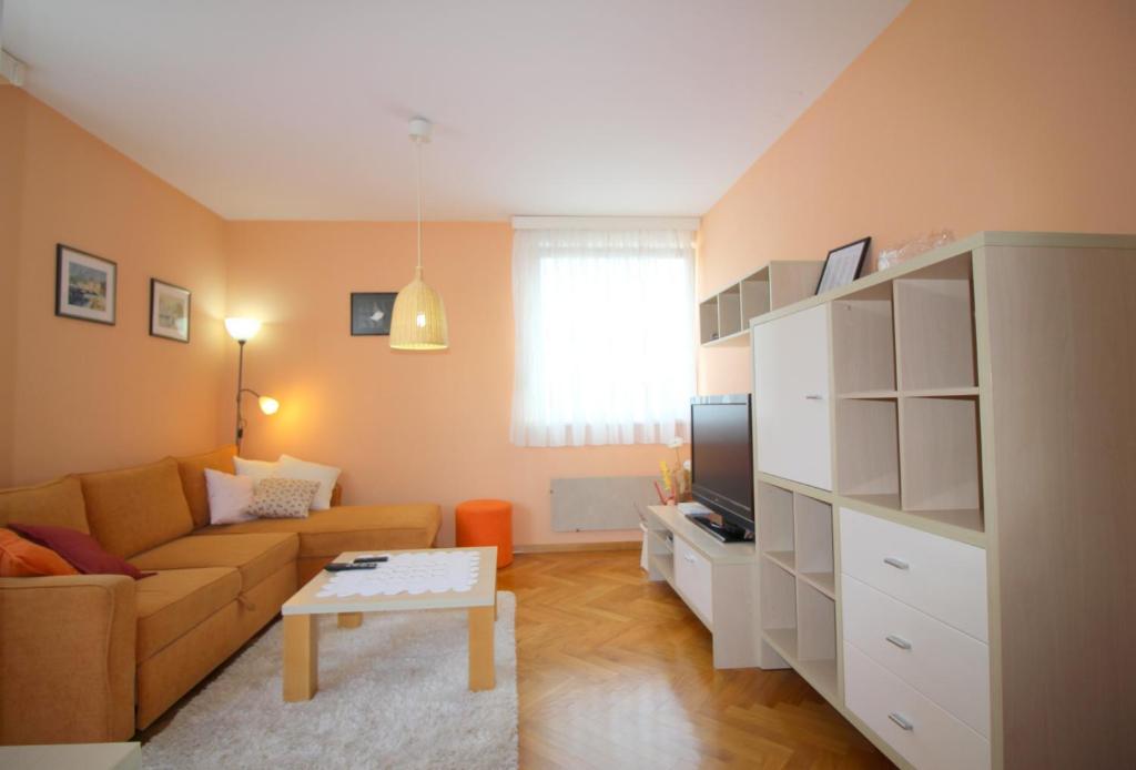 Apartment Vojka in city center photo 2