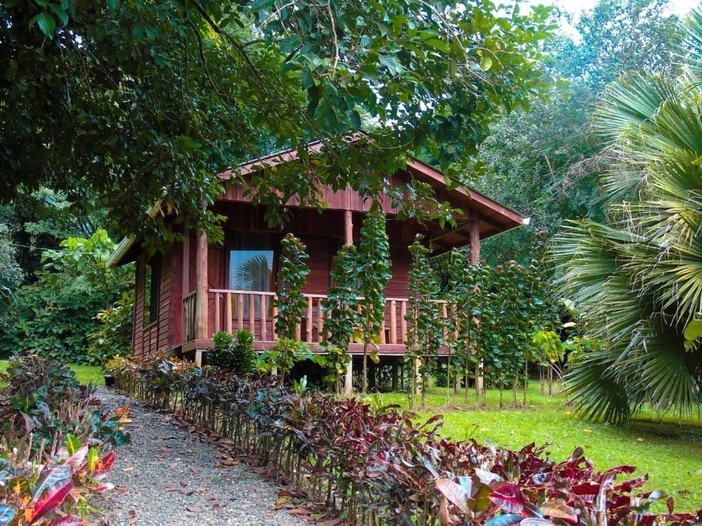 Cataratas Bijagua Lodge photo 3