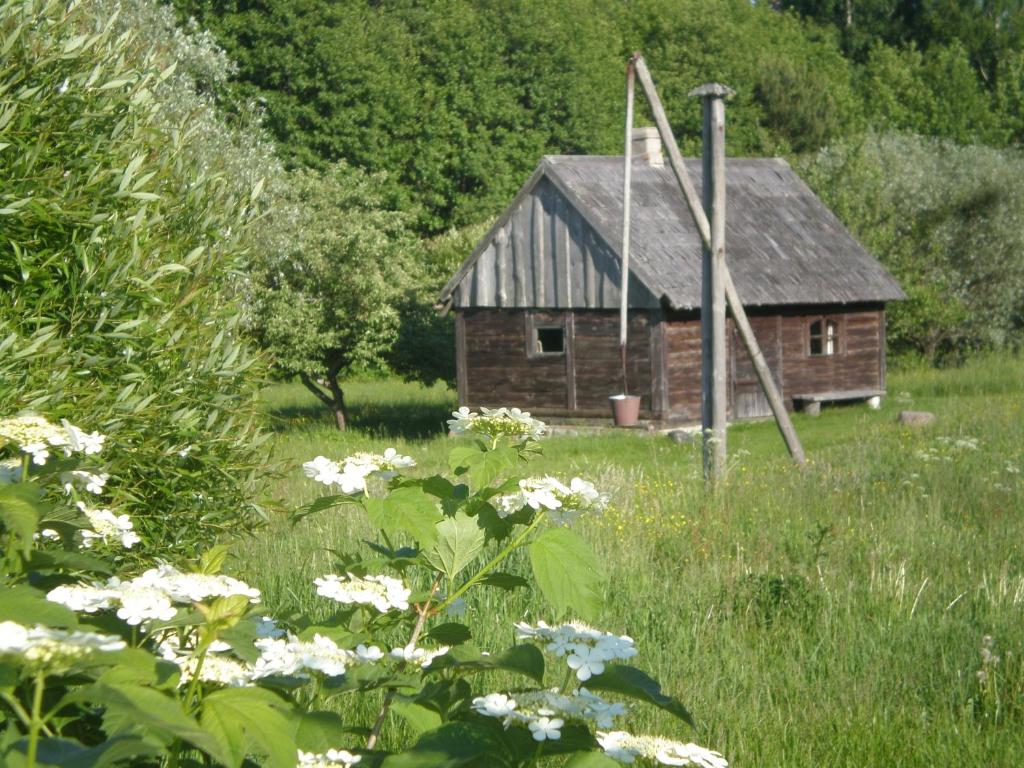 Lūķi, Lauku sēta photo 2