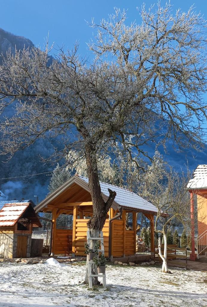 NAXI GUEST HOUSE photo 4