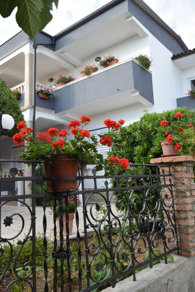 Apartmani Anđela i Mladen Debelić photo 2