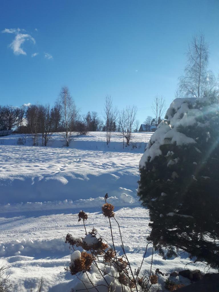 Lawendowy Zakątek - Agroturystyka photo 1