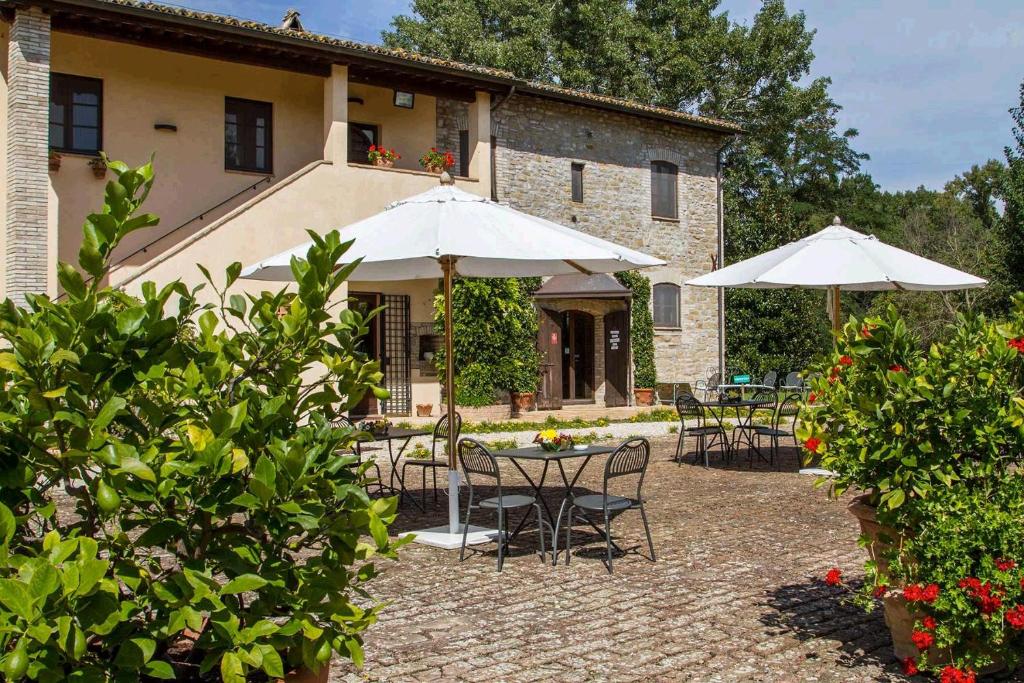 Agriturismo Podere La Fornace photo 2