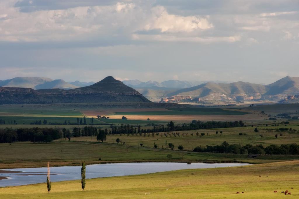 Lavender Hill Country Estate and Wedding Venue photo 1