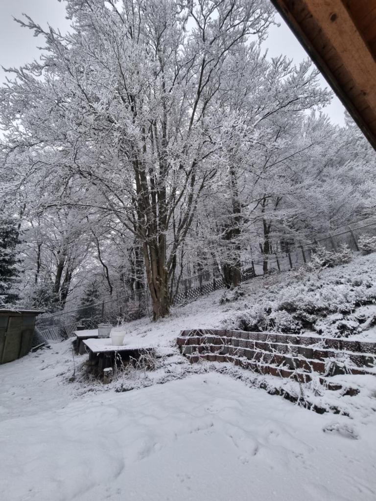Ferienwohnung Schneeberg photo 3