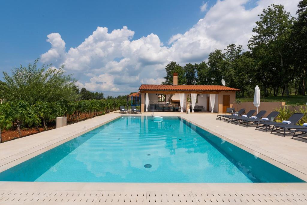 Vitis Apartment Istra photo 1