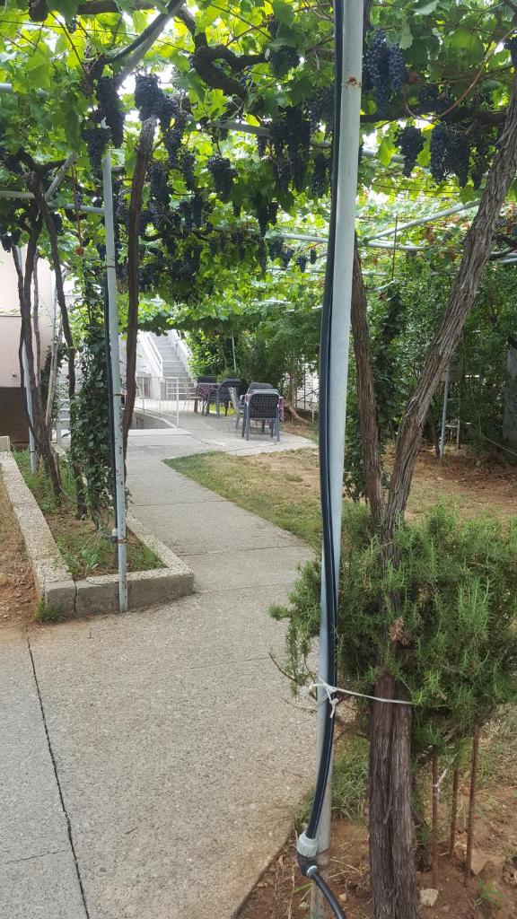 Apartments F photo 3