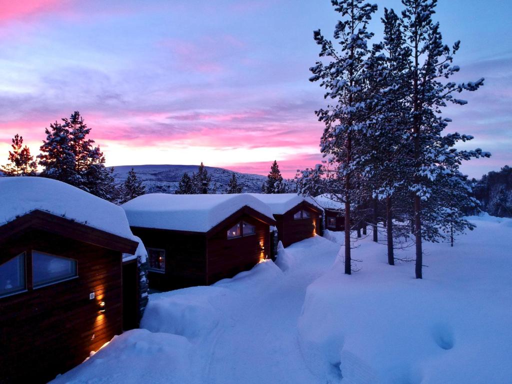 Bjørnfjell Mountain Lodge photo 1