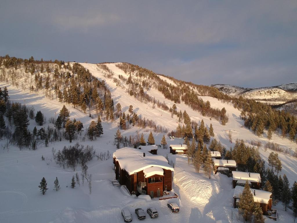 Bjørnfjell Mountain Lodge photo 4