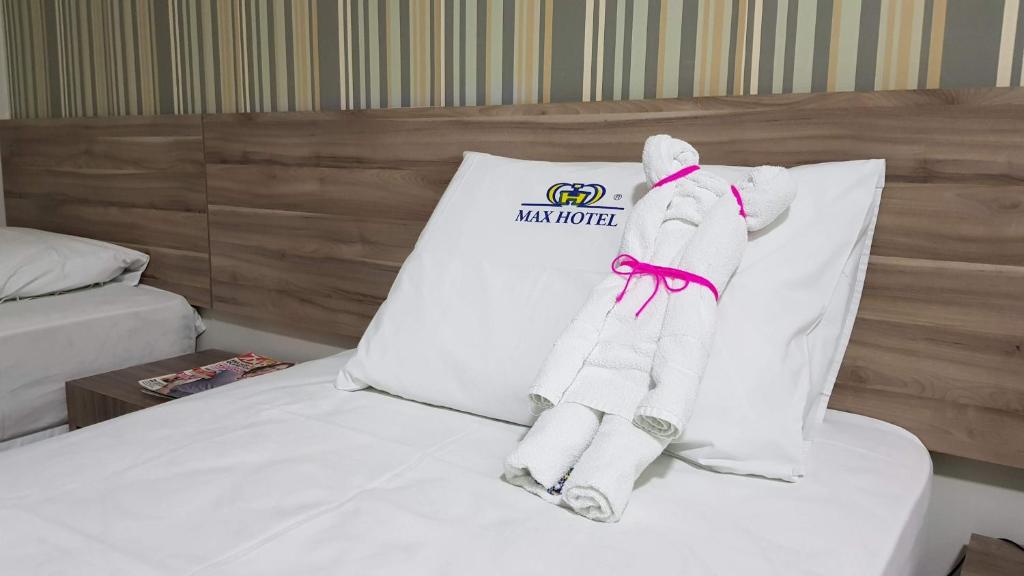 Max Hotel photo 3
