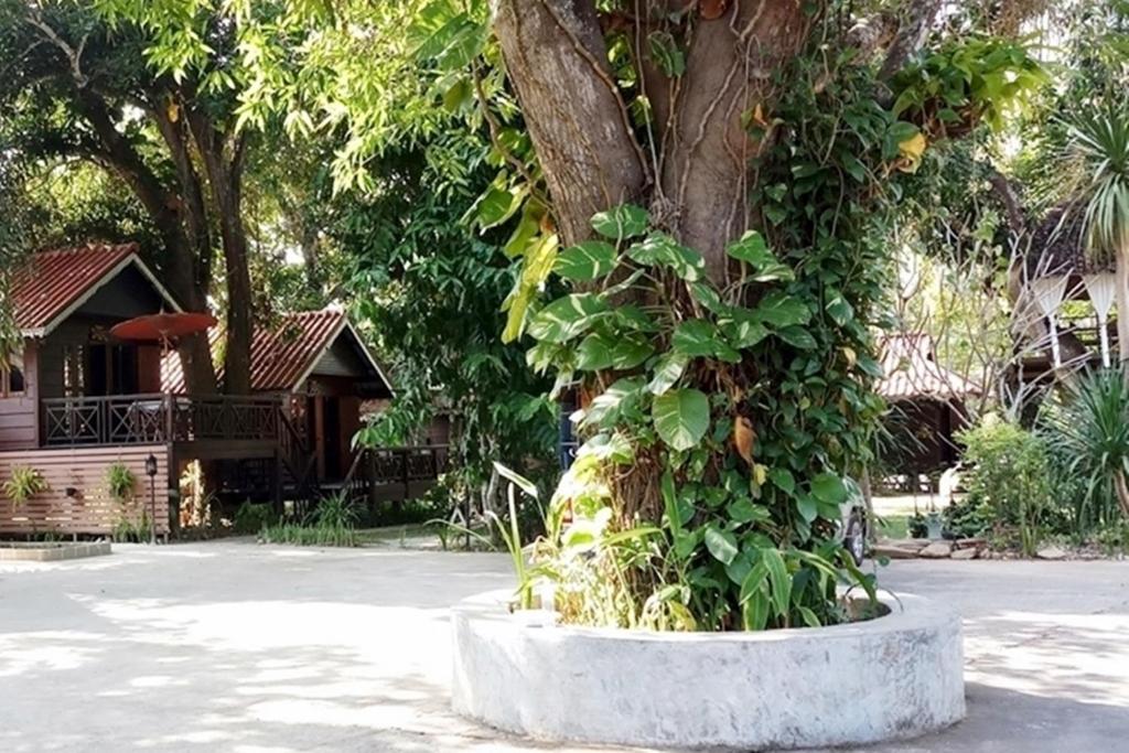 Banviewnam Camping & Resort photo 4