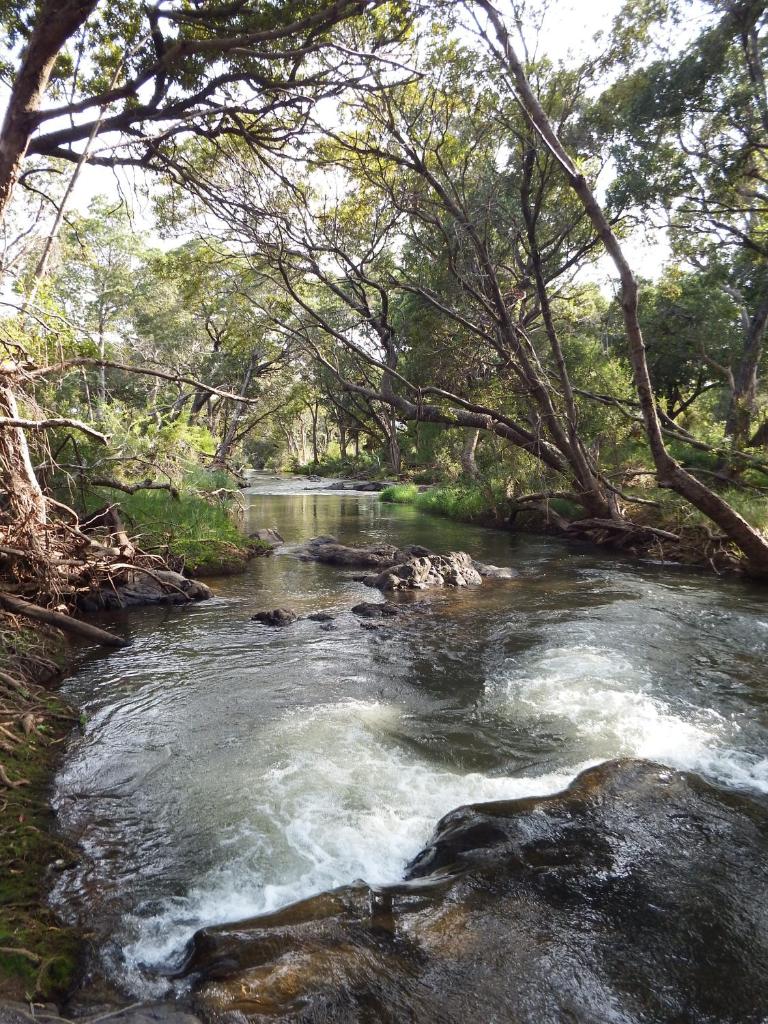 Blyde River Cabins photo 2