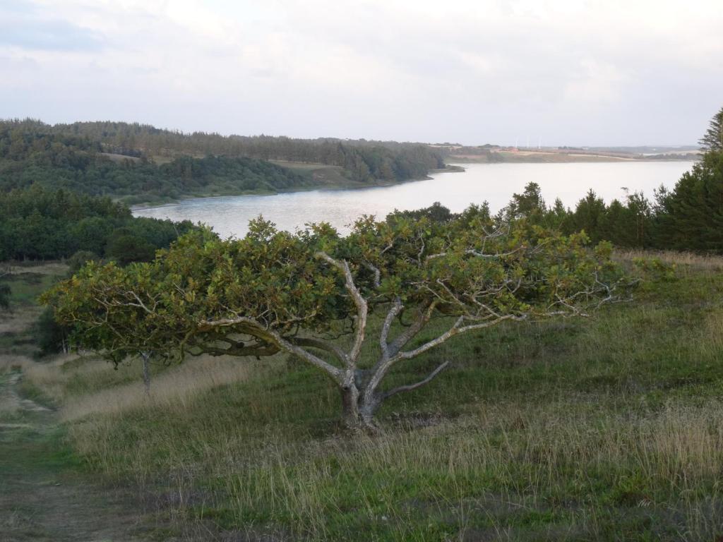 Skibstedborg - naturhytte i Thy photo 3