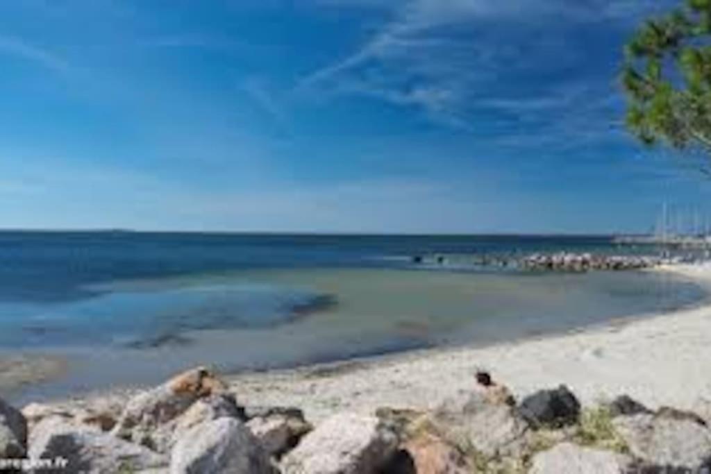 Appartement cosy à 50 m de la plage et du port (Appartement cosy a 50 m de la plage et du port) - Thumbnail image