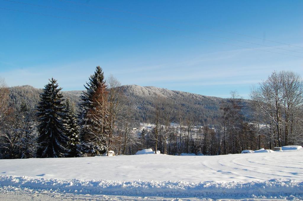 Herberk U Modré křepelky photo 3